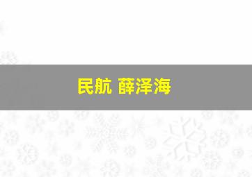 民航 薛泽海